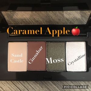 Mary Kay Caramel Apple Palette.